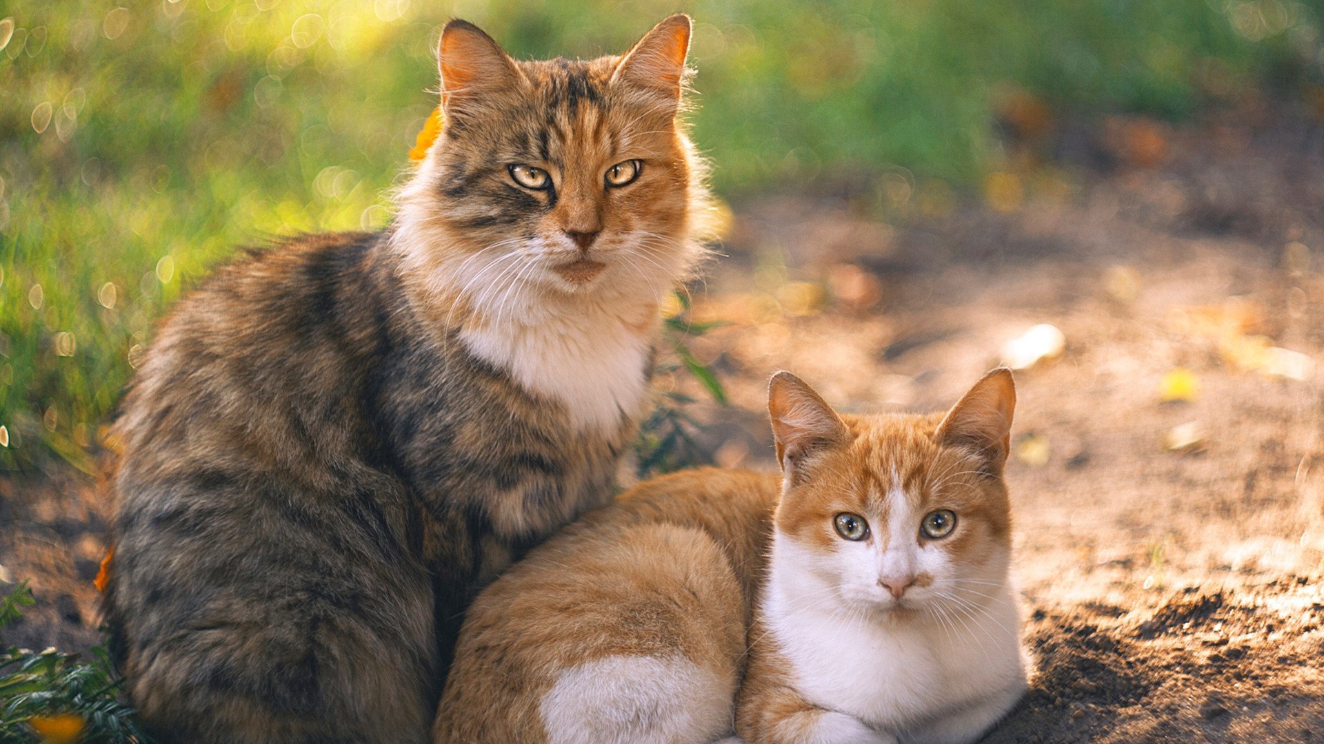 传奇与新纪元的交响，当阿圭罗的名字刻入永恒，里昂用青春风暴席卷北欧