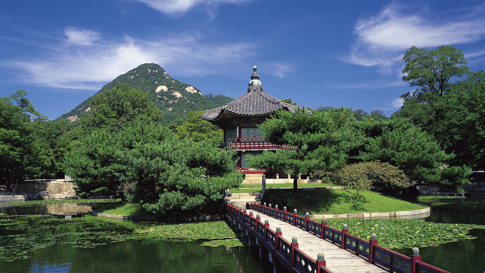 鏖战巴黎之巅，日本队血战法国队，郑思维统治全场定乾坤