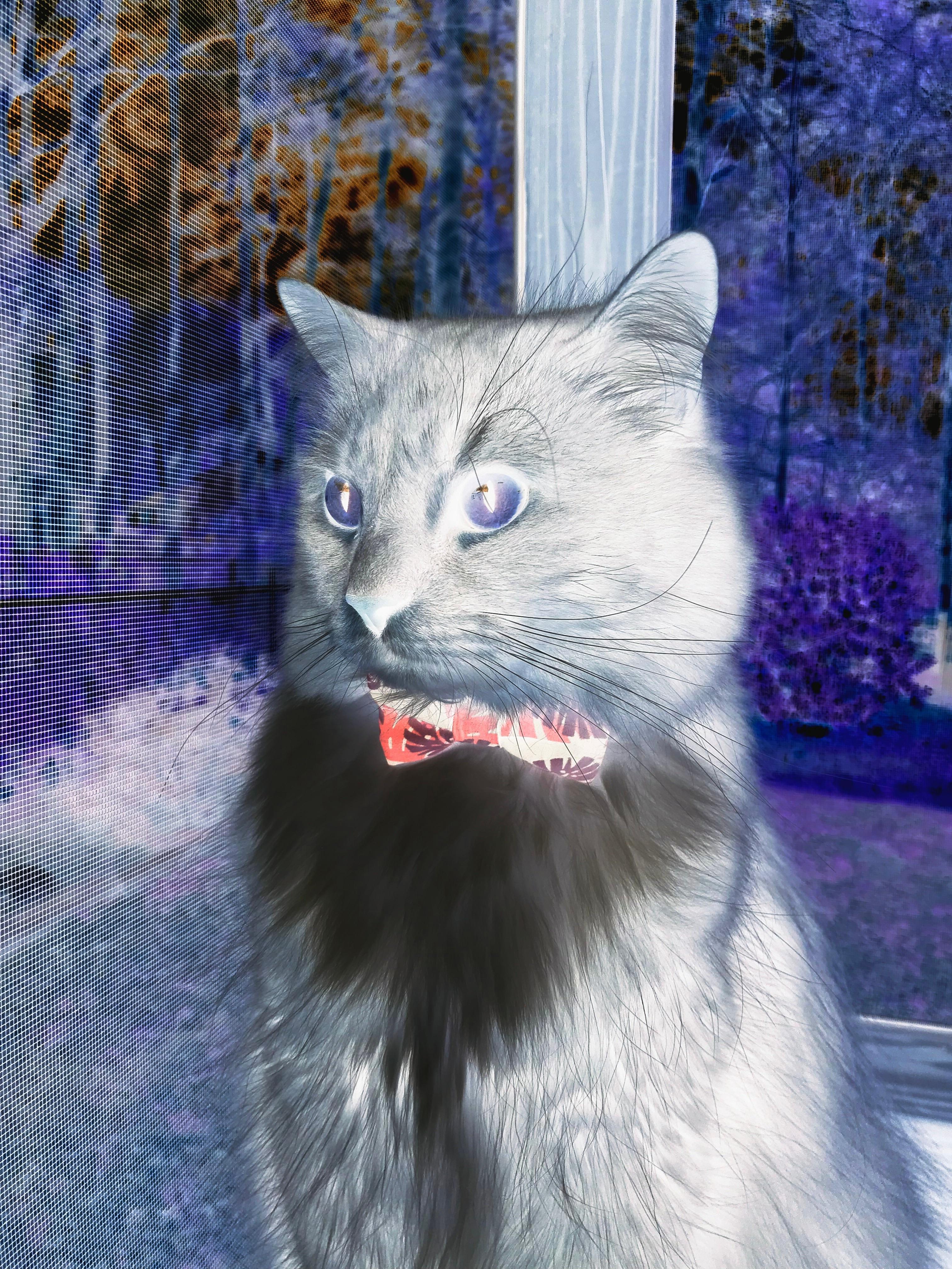 温网，他的草地，即世界的红土—德约科维奇蒙特卡洛式横扫点燃全场