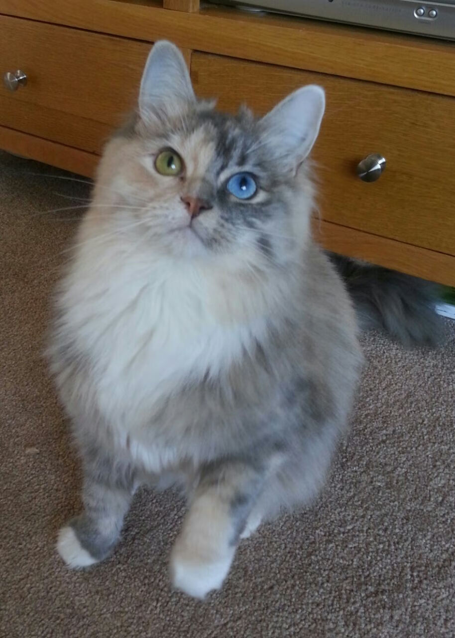 爱游戏官网-联合杯轻取美网，阿尔卡拉斯关键制胜背后的羽化之道