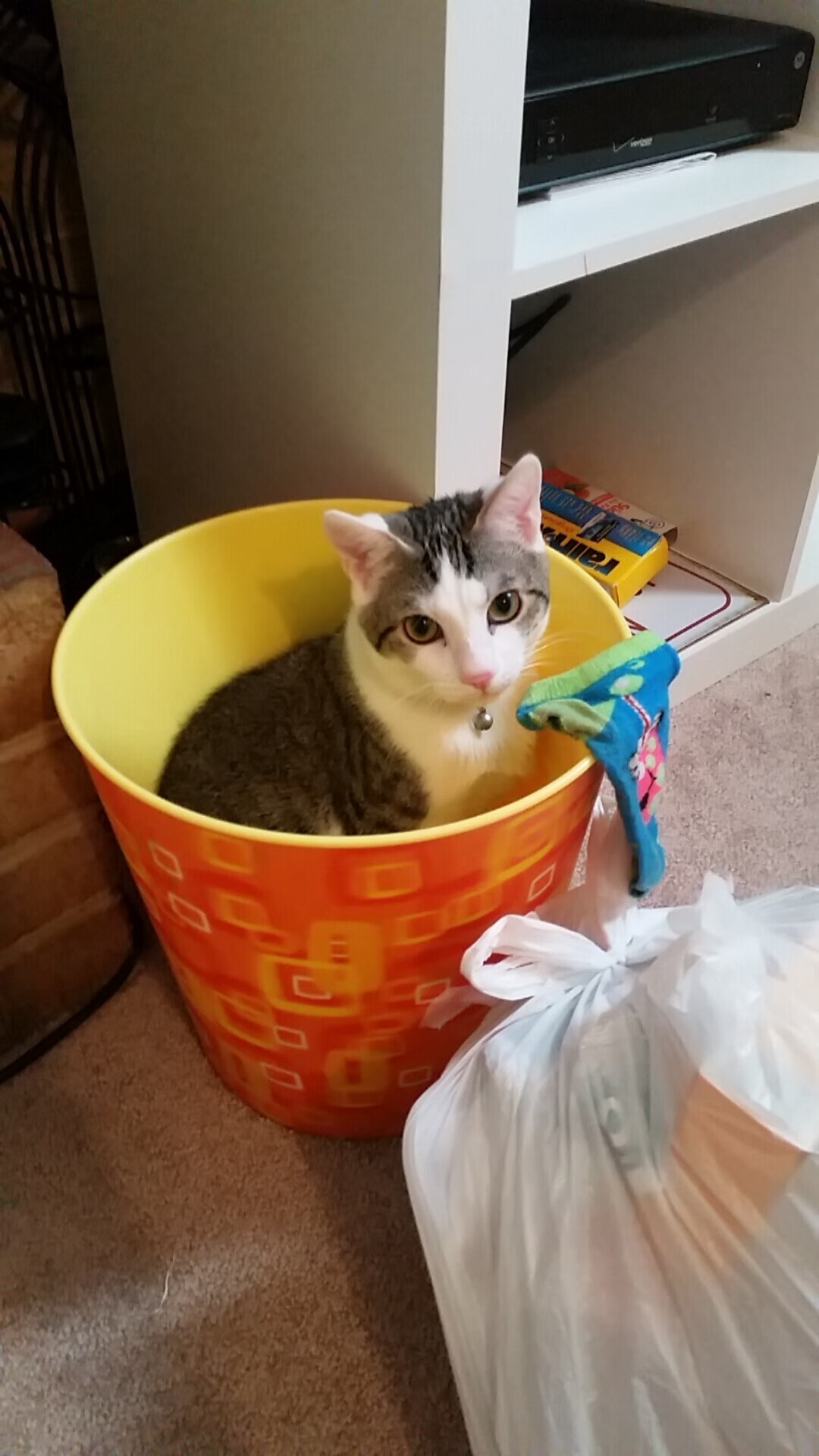 爱游戏-足球世界的双重奏，玻利维亚碾压冰岛，迪亚斯在意甲焦点战接管比赛