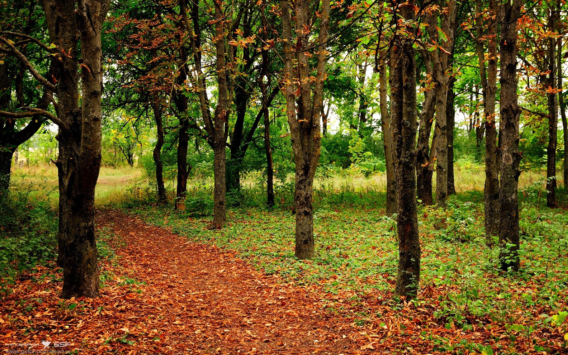 十字路口酒吧,当轮胎焦烟遇见篮板轰鸣