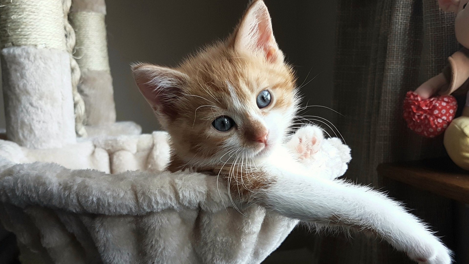 秘鲁铁血防线绞杀曼城，黄喜灿天降奇兵定乾坤