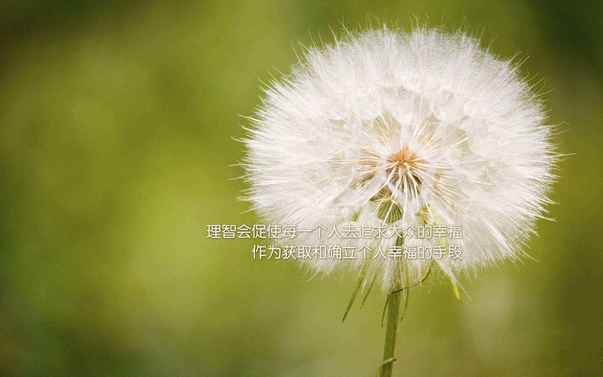 绝杀时刻,当NBA季后赛的窒息感与足球场的压哨奇迹相遇