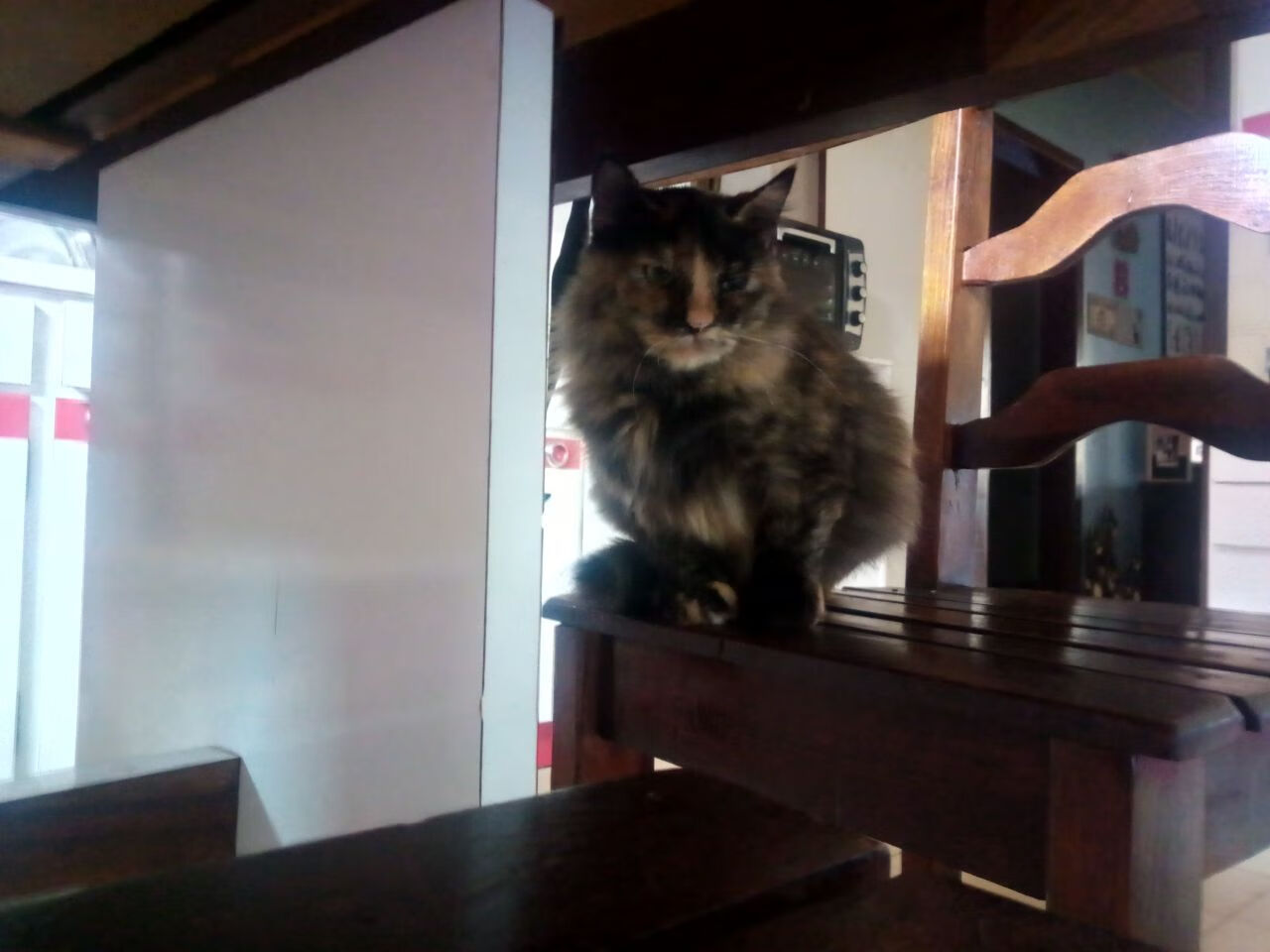 绿茵灯塔，哈兰德光芒下的瑞士战术革命