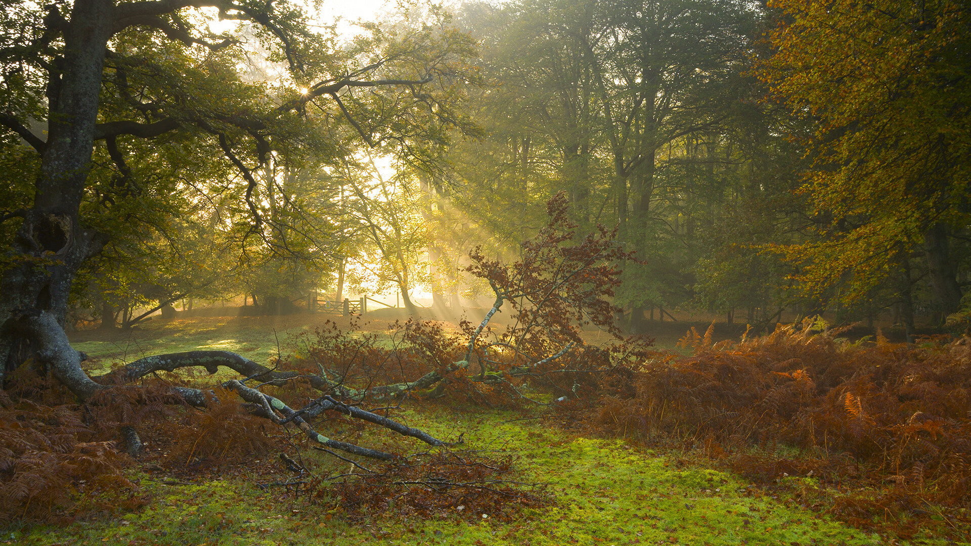 爱游戏在线-爱德华兹44分撕破雷霆防线的个人英雄主义如何赢下与未来之争的？