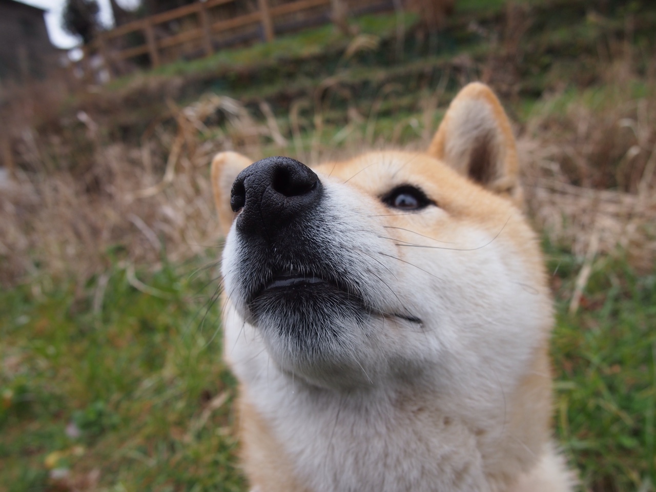 爱游戏在线-跨界征服夜，凯尔特人强行终结森林狼，克莱在F1街道赛上演速度奇迹
