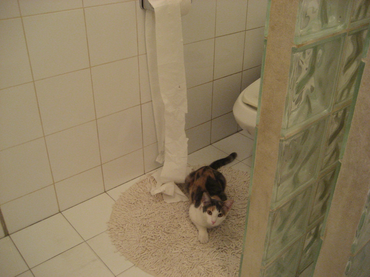 铁血蓝黑遭遇战术奇袭，富安健洋变奏曲奏响，勒沃库森闪电战震惊圣西罗