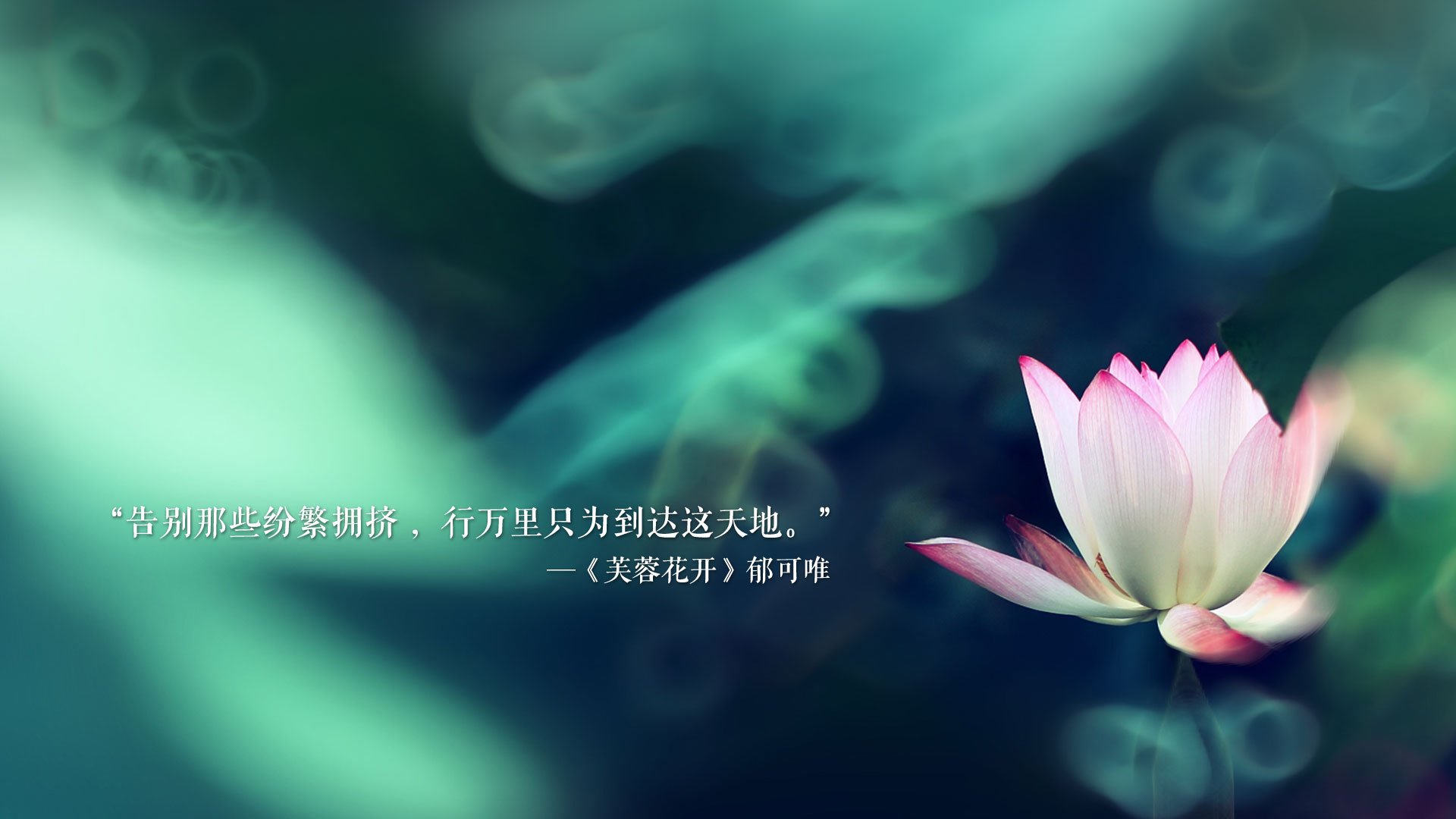 血色蓝白，2026世界杯的复仇之战—阿根廷战术降维打击，孙兴慜独木难支燃尽赛场