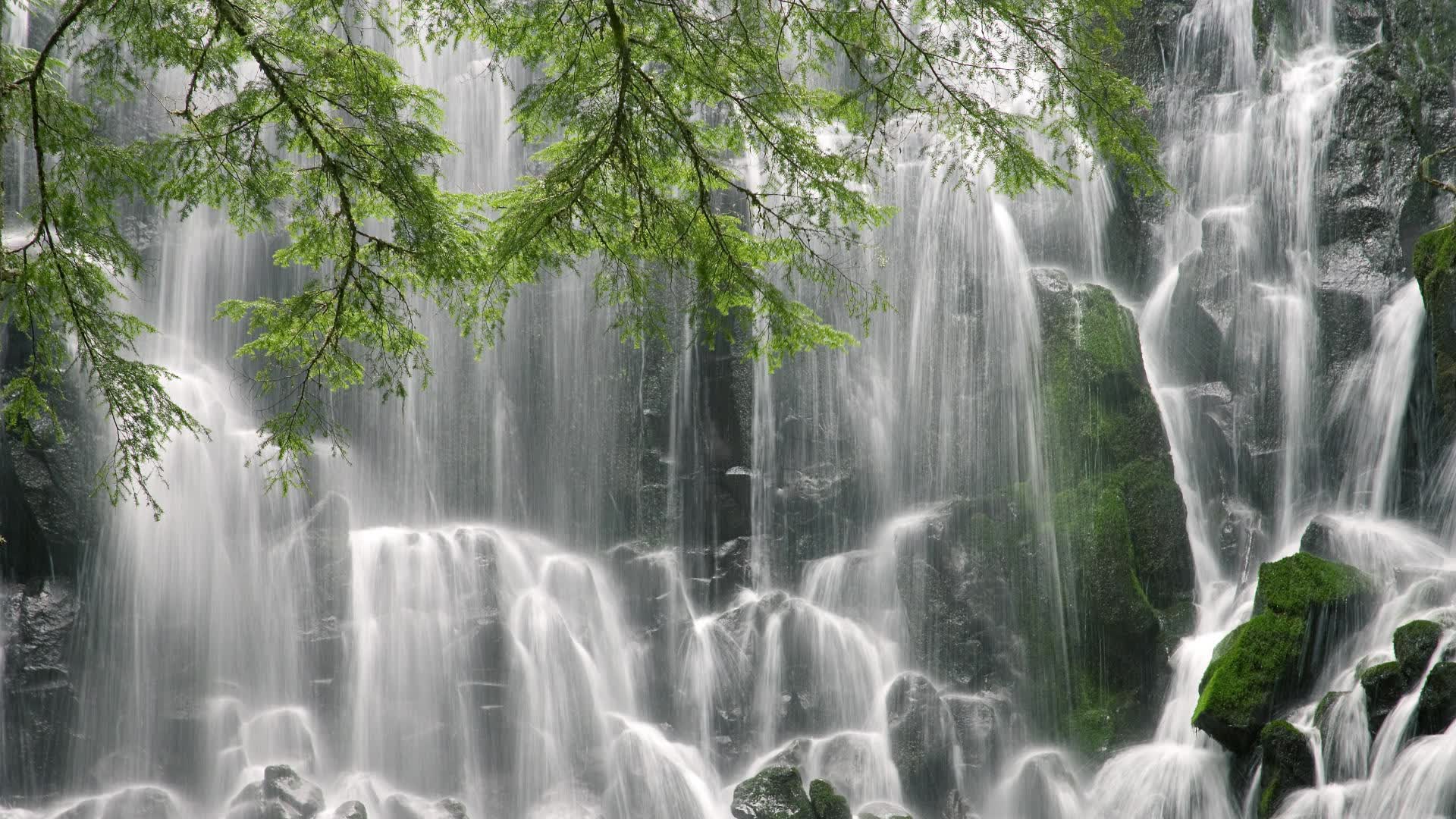 独舞的桑巴,2026世界杯H组,迪亚斯如何让巴西在压制伊朗中定义唯一性